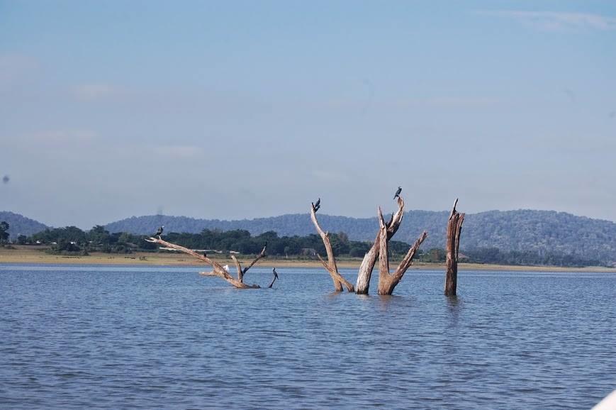 The Peepal Tree, Kabini Begūr Εξωτερικό φωτογραφία