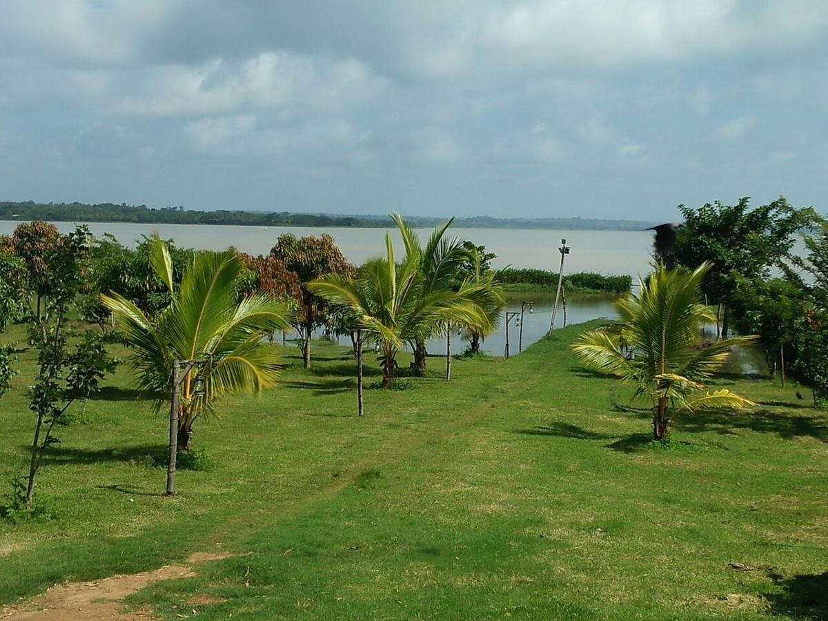 The Peepal Tree, Kabini Begūr Εξωτερικό φωτογραφία
